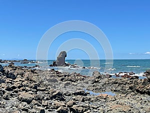 Marine Landscape. The view of rocky coastline at Tawharanui Regional Park in a sunny day, New Zealand