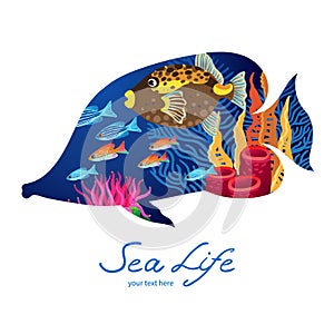 Marine life on background in the form of a fish. photo