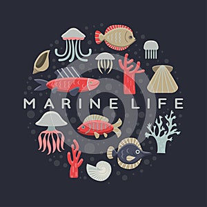 Marine Life Card.