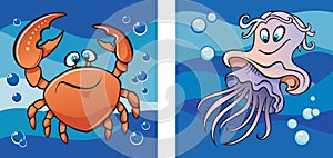 Marine life: crab and jellyfish