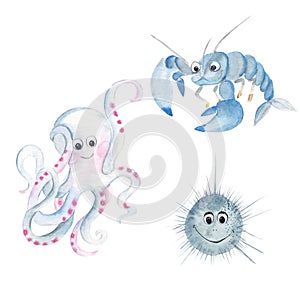 Marine life cute animals, under sea world. Underwater animal creatures. Octopus, urchin, yabby isolated on white