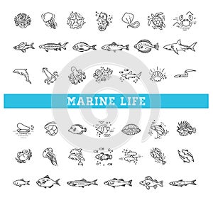 Marine life icon set. Vector outline icons