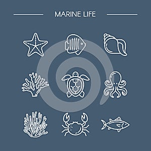 Marine Life Icons Set for Design. Linear Style