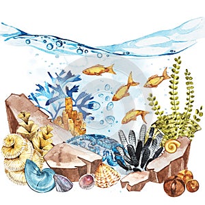 Marine Life Landscape - the ocean and the underwater world with different inhabitants. Aquarium concept for posters, T