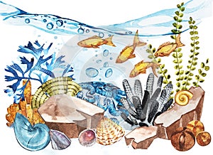 Marine Life Landscape - the ocean and the underwater world with different inhabitants. Aquarium concept for posters, T