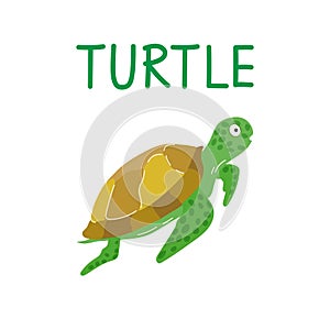 Cartoon style green sea turtle isolated on a white background