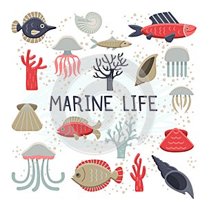 Marine Life Vector Illustrations Set.