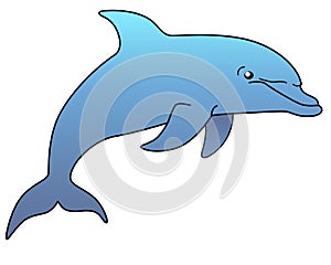 Marine mammal dolphin. Funny cute dolphin jumps out of the water.