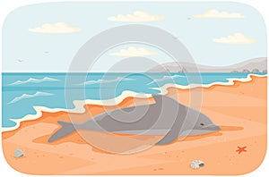 Marine mammal living in water vector illustration. Dolphin lies on sandy beach near ocean