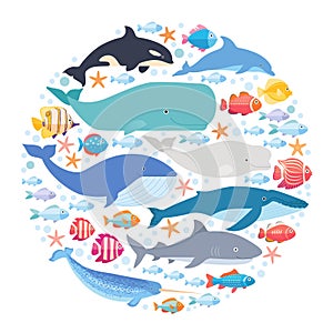 Marine mammals and fishes set in circle. Narwhal, blue whale, dolphin, beluga whale, humpback whale, bowhead and sperm