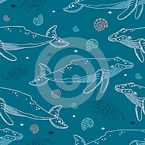 Marine pattern with whales and seashells.