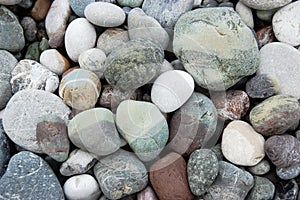 Marine pebbles on the shore.