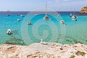 Marine pleasure boats of the coast Cala Comte, beach Cala Escondida. Ibiza, Balearic Islands. Spain photo