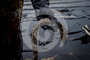 Marine pollution - eel  killed by oil pollution on beach photo