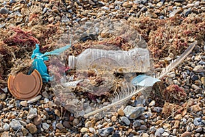 Marine pollution. Plastic bottle cup and bag mixed with nature washed up on beach