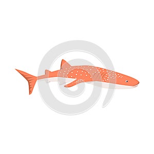 Marine Predator Shark Design Flat