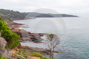 Marine red folded rocks in Ben Boyd National Park