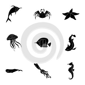 Marine and river inhabitants. Fish, whales, octopuses.Sea animals icon in set collection on black style vector symbol