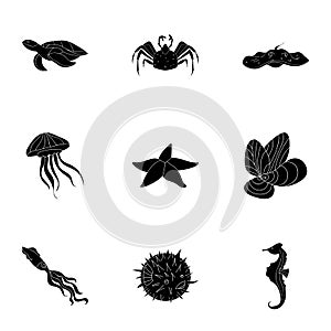 Marine and river inhabitants. Fish, whales, octopuses.Sea animals icon in set collection on black style vector symbol