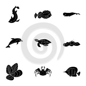 Marine and river inhabitants. Fish, whales, octopuses.Sea animals icon in set collection on black style vector symbol