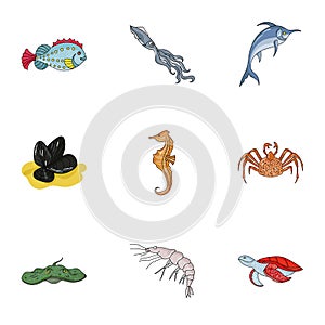 Marine and river inhabitants. Fish, whales, octopuses.Sea animals icon in set collection on cartoon style vector symbol