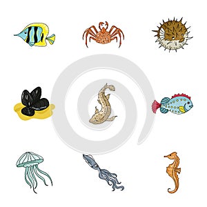 Marine and river inhabitants. Fish, whales, octopuses.Sea animals icon in set collection on cartoon style vector symbol