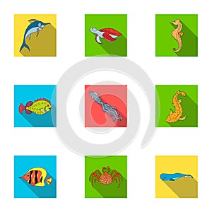 Marine and river inhabitants. Fish, whales, octopuses.Sea animals icon in set collection on flat style vector symbol