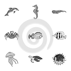 Marine and river inhabitants. Fish, whales, octopuses.Sea animals icon in set collection on monochrome style vector