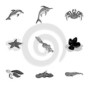 Marine and river inhabitants. Fish, whales, octopuses.Sea animals icon in set collection on monochrome style vector