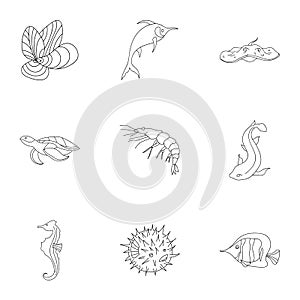 Marine and river inhabitants. Fish, whales, octopuses.Sea animals icon in set collection on outline style vector symbol