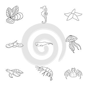 Marine and river inhabitants. Fish, whales, octopuses.Sea animals icon in set collection on outline style vector symbol