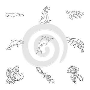 Marine and river inhabitants. Fish, whales, octopuses.Sea animals icon in set collection on outline style vector symbol