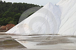 Marine salt production