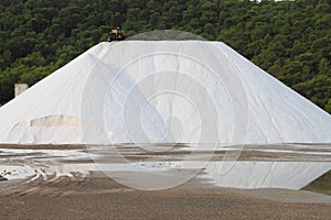 Marine salt production