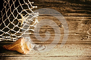 Marine seashell, starfish and fishing net