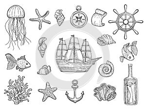 Marine symbols. Fish ship shells boats ocean symbols sailboat vector nautical collection