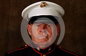 Marine Veteran