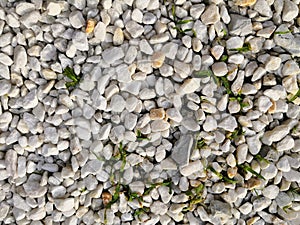 Marine white gray pebble texture background. Fresh summer holiday inspiration, relaxation mood