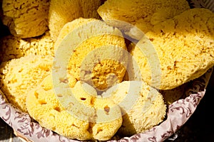 Marine yellow bath sponge pattern