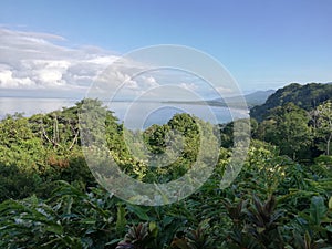 Marino Ballena National Park photo