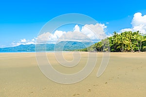 Marino Ballena National Park in Uvita - Punta Uvita - Beautiful beaches and tropical forest at pacific coast of Costa Rica