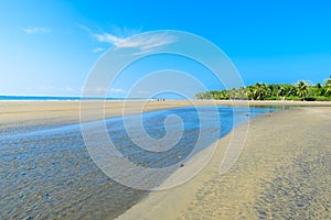 Marino Ballena National Park in Uvita - Punta Uvita - Beautiful beaches and tropical forest at pacific coast of Costa Rica