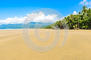 Marino Ballena National Park in Uvita - Punta Uvita - Beautiful beaches and tropical forest at pacific coast of Costa Rica