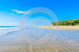 Marino Ballena National Park in Uvita - Punta Uvita - Beautiful beaches and tropical forest at pacific coast of Costa Rica