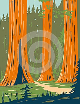 Mariposa Grove of Giant Sequoia in Yosemite National Park near Wawona California WPA Poster Art