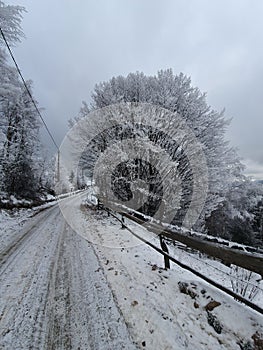 Marisel in winter