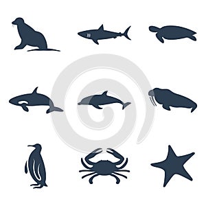 Maritime animals icon set. Vector illustration. Vector symbols