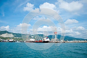 Maritime cargo port in Novorossiysk