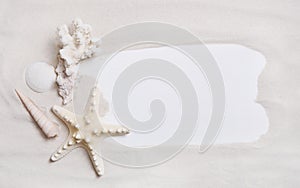 Maritime nautical background or sign with shells and starfish fo photo