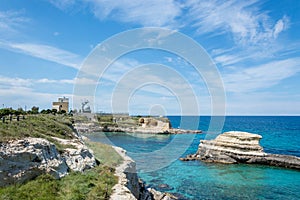 Maritime pine forest near Torre dellâ€™Orso Melendugno in Salento Italy